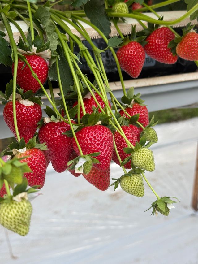 Our 2025 Season Wrap-Up