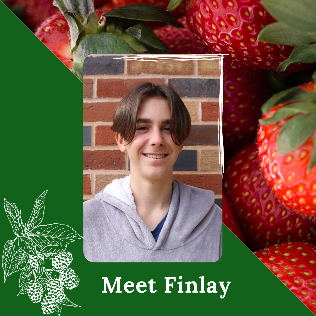 Contact Us Berries Unlocked