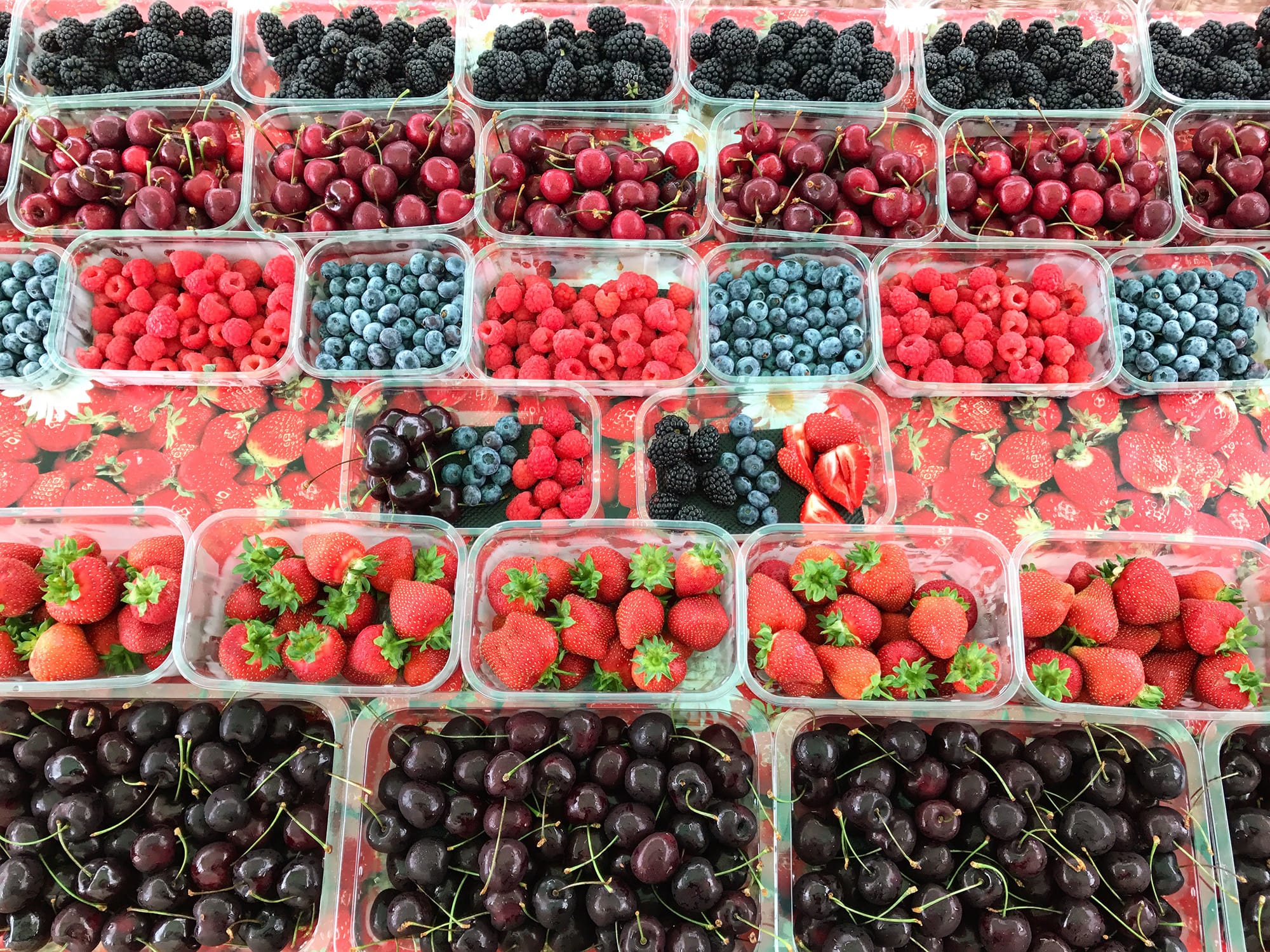 Fruit & Cherries in Herefordshire Berries Unlocked