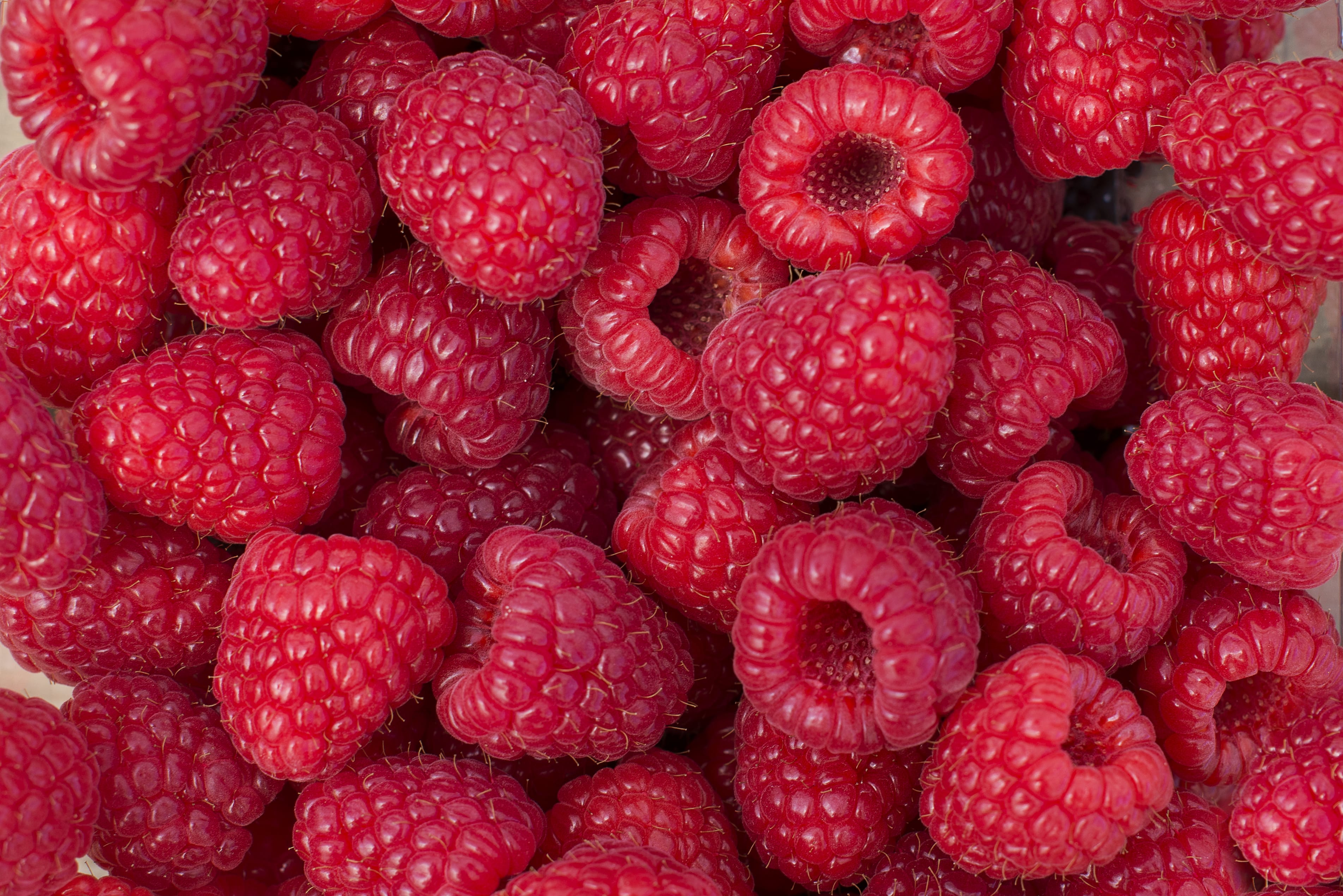 Buy Fruit & Cherries in Herefordshire Berries Unlocked