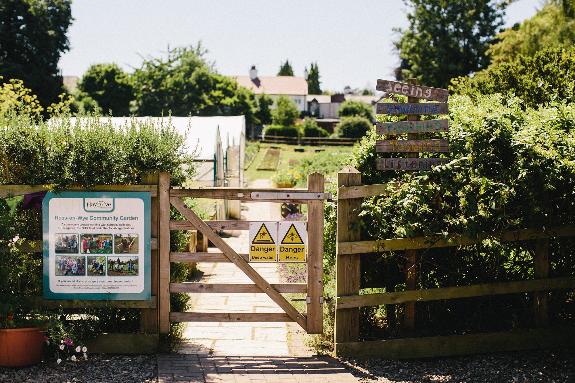 The Community Garden Initiative a chat with Tim! Berries Unlocked